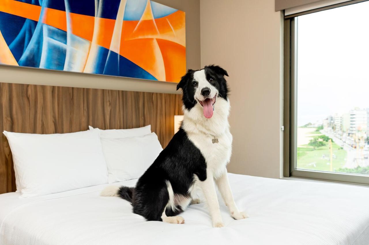 Hyatt Place Macaé Εξωτερικό φωτογραφία